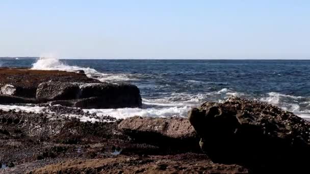 Piccole Onde Breaking Rocks South Shelly Beach New South Wales — Video Stock