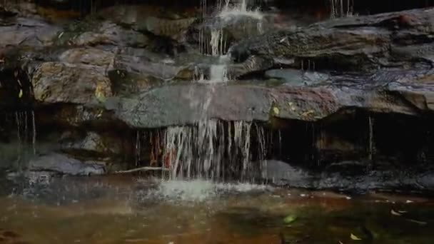 Pan Się Dołu Spokojnej Sommersby Falls Środkowym Wybrzeżu Nowej Południowej — Wideo stockowe