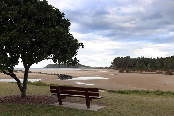 Seat under a tree overlooking Tidal flats Harbour and Mutton bird Island on an overcast day at dusk turning the clouds beautifully silver