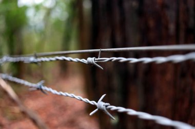 Dikenli tel forrest bir bölümü kapatma