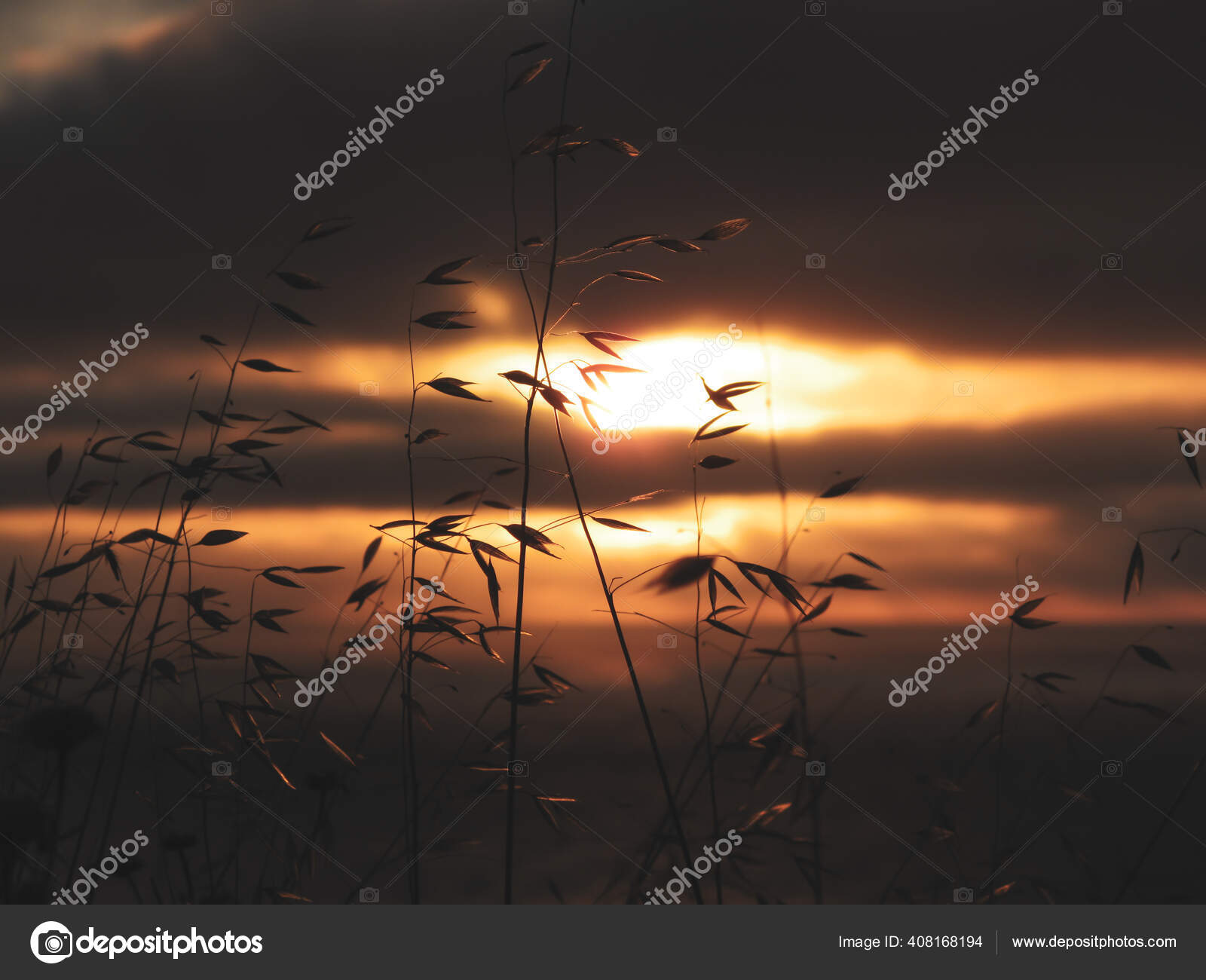 カリフォルニア州パロス ヴェルデを背景に 雲と海を背景に劇的な夕日にシルエットを描く植物 ストック写真 C Tofulosophy カリフォルニア州パロス ヴェルデを背景に 雲と海を背景に劇的な夕日にシルエットを描く植物 ストック写真 C Tofulosophy