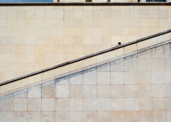 Güneşli bir günde Paris 'teki Palais de Chaillot' un basamaklarını tırmanan bir adam.