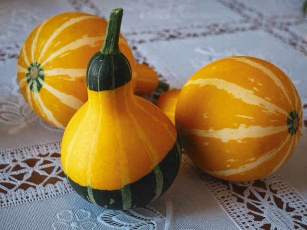 Een Gele Groene Fles Kalebas Plant Hyoutan Een Tafel Met — Stockfoto