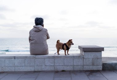 Telefonda yaşlı bir kadın, kumsalda köpeğinin tasmasıyla okyanus dalgaları ve arka planda bulutlu gökyüzü olan.