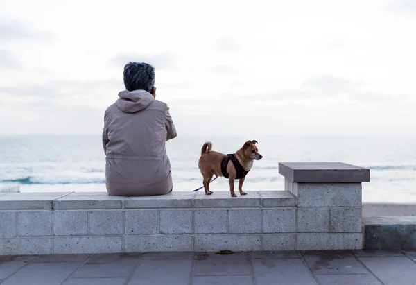 Older Lady Phone Her Pet Dog Leash Beach Ocean Waves — Stock Photo, Image