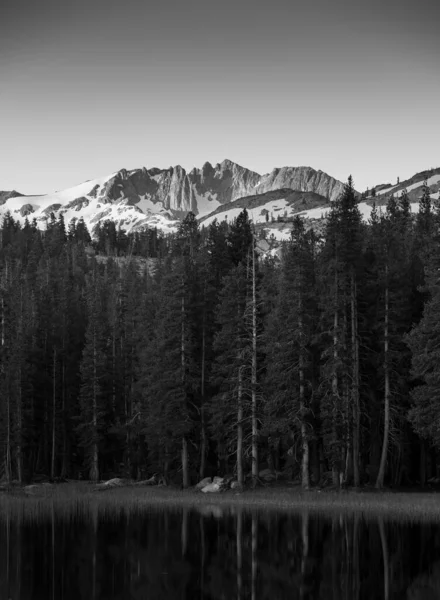Árvore Alpina Seus Reflexos Lago Imóvel Com Uma Cordilheira Coberta — Fotografia de Stock