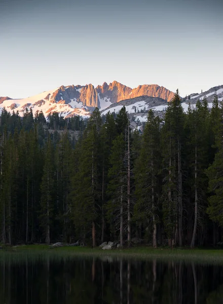 カリフォルニアの日の出の背景に雪に覆われた山脈と静かな湖での高山の木とその反射 — ストック写真
