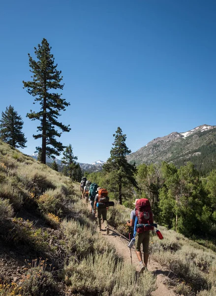 Groupe Diversifié Randonneurs Pédestres Long Sentier Entouré Pins Montagnes Ciel — Photo