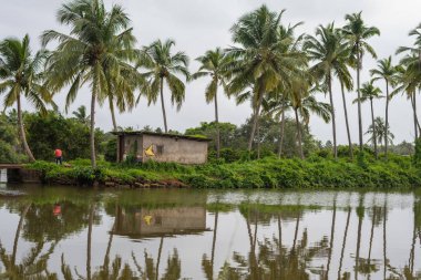 Chinchinim, Goa/Hindistan-Temmuz 29 2018: Suni balık ve karides çiftlikleri tarım bulunan Goa içinde hangi cins ve arka balık ve karides/karides yerel tüketim ve ihracat için