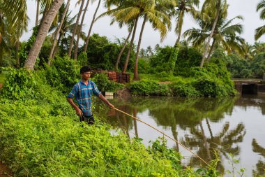 Chinchinim, Goa/Hindistan-Temmuz 29 2018: Suni balık ve karides çiftlikleri tarım bulunan Goa içinde hangi cins ve arka balık ve karides/karides yerel tüketim ve ihracat için