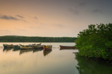 Goa, Hindistan 'da denizin güzel manzarası