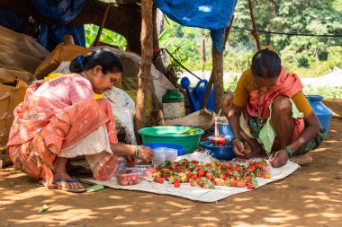 Netravali, Goa/Hindistan-Mart 21 2019: çilek sıralanmış ve Goa, Hindistan bir çiftlikte Satılık paketlenmiş