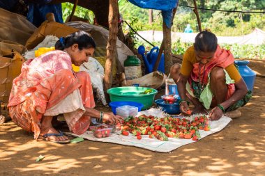Netravali, Goa/Hindistan-Mart 21 2019: çilek sıralanmış ve Goa, Hindistan bir çiftlikte Satılık paketlenmiş
