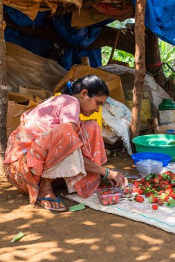 Netravali, Goa/Hindistan-Mart 21 2019: çilek sıralanmış ve Goa, Hindistan bir çiftlikte Satılık paketlenmiş