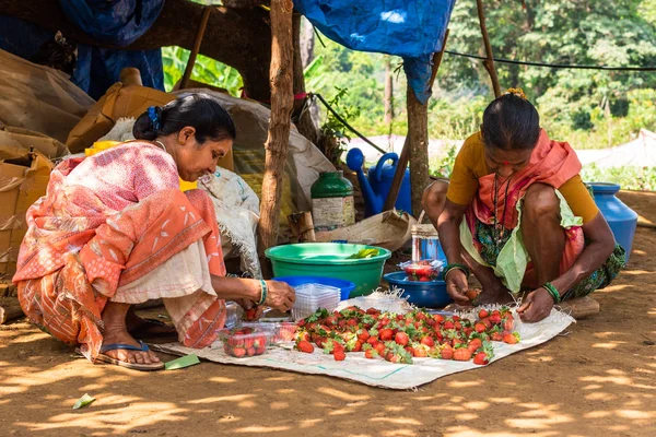 Netravali, Goa/Hindistan-Mart 21 2019: çilek sıralanmış ve Goa, Hindistan bir çiftlikte Satılık paketlenmiş