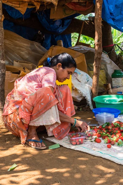 Netravali, Goa/Hindistan-Mart 21 2019: çilek sıralanmış ve Goa, Hindistan bir çiftlikte Satılık paketlenmiş