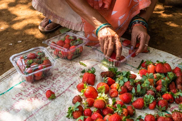 Netravali, Goa/Hindistan-Mart 21 2019: çilek sıralanmış ve Goa, Hindistan bir çiftlikte Satılık paketlenmiş