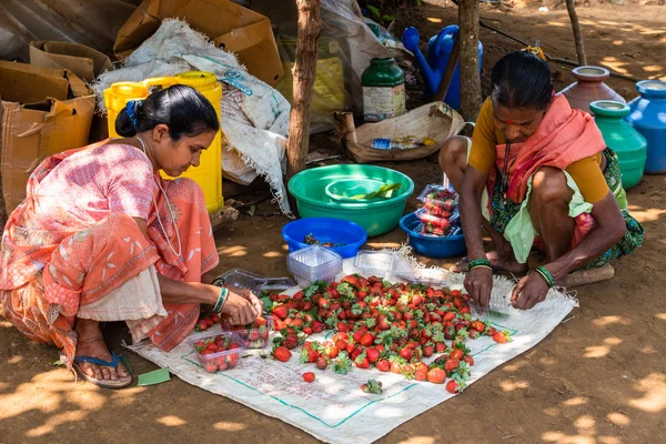 Netravali, Goa/Hindistan-Mart 21 2019: çilek sıralanmış ve Goa, Hindistan bir çiftlikte Satılık paketlenmiş