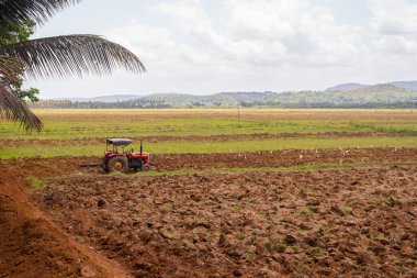 Curtorim, Goa / Hindistan - 22 Mayıs 2020: Traktör ve dümen, tarımda kullanılan pulluk Goa, Hindistan 'da çeltik ekimi / tarım sahnesi
