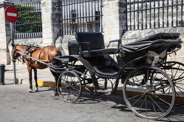 Horse Vintage Coach Waiting Passengers Close Fence Outdoors Cuba Havana — Stock Photo, Image