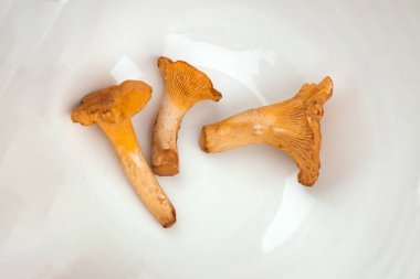 Üç orman parlak turuncu mantar Cantharellus cibarius beyaz tabak arka plan üzerinde döşeme. Yakın çekim, izole.