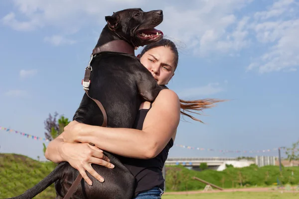 American Stafford Terrier dog huges the owner sitting on her hands. Young caucasian woman holds the dog with all of her strenghs. Woman has a dark hair and blue eyes, wearing casual (blue jeans and black blouse). Outdoor, blue sky, sunny day. Fun