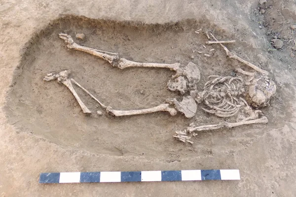 Scavi Archeologici Resti Umani Ossa Scheletro Cranio Nel Terreno Con — Foto Stock