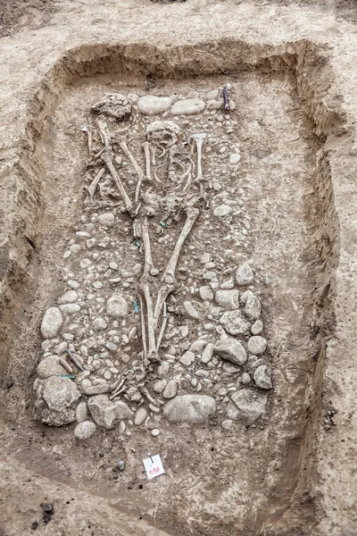 Αρχαιολογική Ανασκαφή Ανθρώπινα Υπολείμματα Οστά Σκελετός Και Κρανίο Στο Μισό — Φωτογραφία Αρχείου