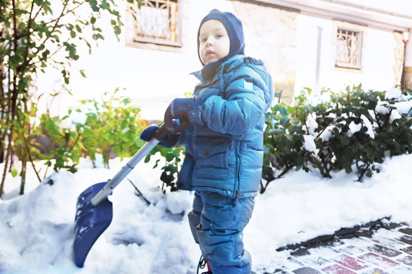 Little Caucasian Boy Shovels Snow Yard Beautiful Snowy Rose Bushes — Stock Photo, Image