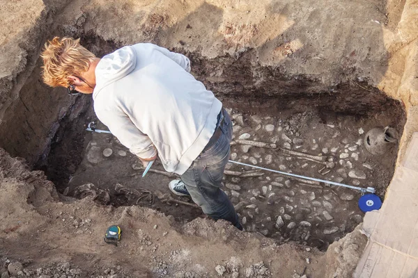 Escavação Arqueológica Jovem Arqueólogo Processo Escavação Faz Babados Ossos Humanos — Fotografia de Stock