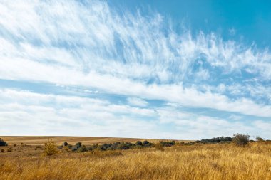 Sarı buğday alan bulutlar ile mavi gökyüzünün altında. Muhteşem manzara, açık havada, kopya alanı.
