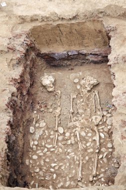 Arkeolojik kazılar. Toprakta çok az insan kalıntıları (kemikler, iki iskelet ve kafatasları) eserler mezar bulundu. Gerçek kazıcı işlemi. Açık havada, uzay kopyalayın, yakın çekim.      