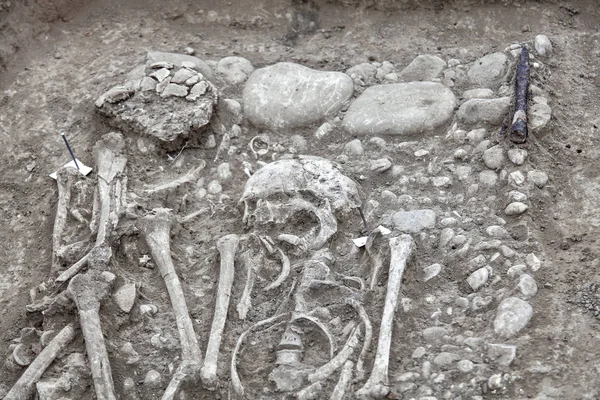 考古发掘 在地下发现的遗骸 两具骨骼和头骨 在坟墓里发现的文物 真正的挖掘机过程 复制空间 — 图库照片