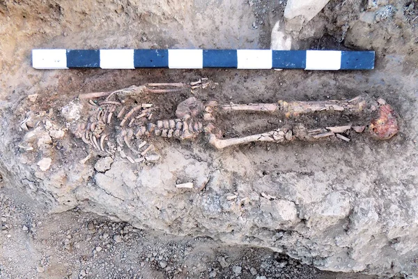 Fouilles Archéologiques Des Restes Humains Squelette Crâne Dans Sol Avec — Photo