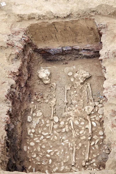 Археологічні Розкопки Людські Останки Кісток Двох Скелетів Черепа Землі Маленькою — стокове фото