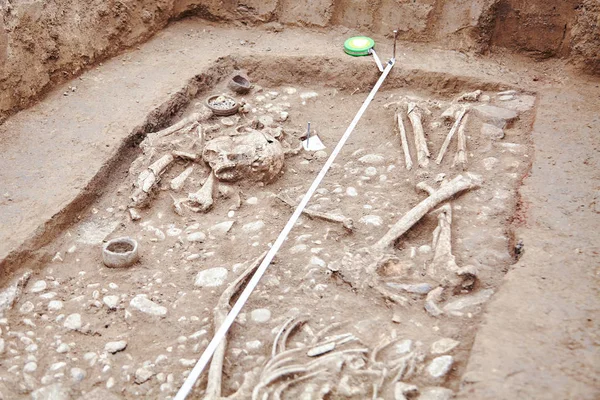 考古发掘 地下的遗体 两具骨骼和头骨 在坟墓里发现了许多文物 真正的挖掘机过程 复制空间 — 图库照片