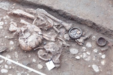 Arkeolojik kazılar. Toprakta çok az insan kalıntıları (kemikler, iskelet ve kafatası) eserler mezar bulundu. Gerçek kazıcı işlemi. Açık havada, uzay kopyalayın, yakın çekim.      