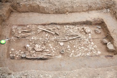 rchaeological kazı. Toprakta çok az insan kalıntıları (kemikler, iskelet ve kafatası) eserler mezar bulundu. Gerçek kazıcı işlemi. Açık havada, uzay kopyalayın, yakın çekim.      