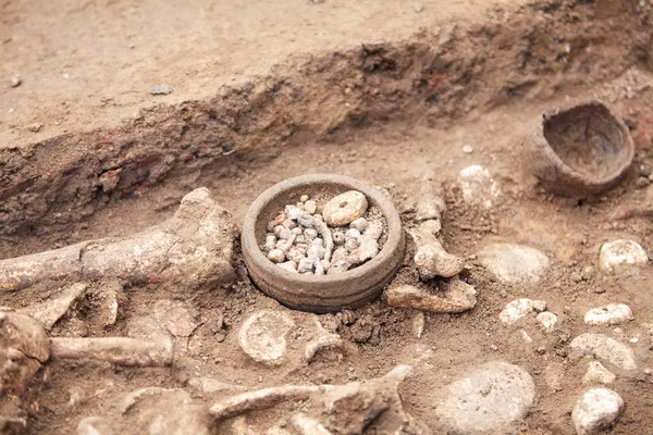 Archeologische Opgravingen Menselijke Resten Skelet Botten Schedel Grond Met Weinig — Stockfoto