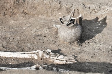 Arkeolojik kazılar. İnsan (iskelet bacaklar/ayak kemikleri) (hasarlı seramik kavanoz) mezar bulundu eserler ile yere kalır. Gerçek kazıcı işlemi. Açık havada, uzay kopyalayın, yakın çekim.      