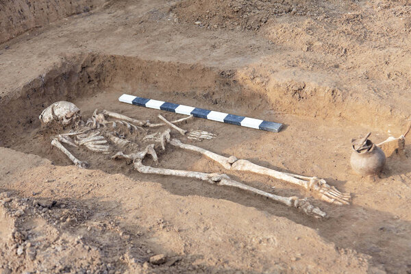 Archaeological excavations. Human remains (bones of skeleton, skulls) in the ground, with artefacts found in the tomb and ritual eramic jar. Real digger process. Outdoors, copy space, close up.      
