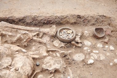 Arkeolojik kazılar. Toprakta çok az insan kalıntıları (kemikler, iskelet ve kafatası) eserler mezar bulundu. Gerçek kazıcı işlemi. Açık havada, uzay kopyalayın, yakın çekim.      
