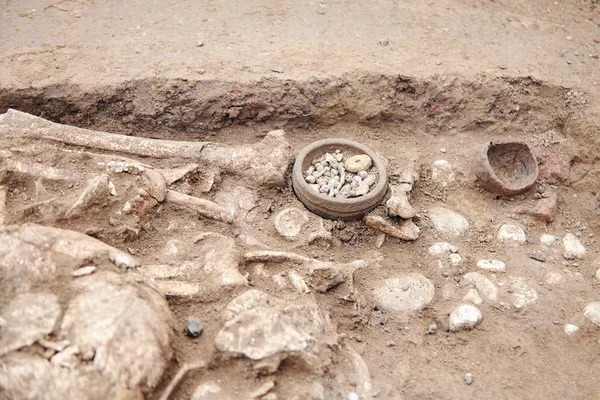 Archaeological Excavations Human Remains Bones Skeleton Skull Ground Little Found — Stock Photo, Image