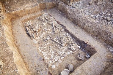 Arkeolojik kazılar. İnsan birçok eserler mezar bulundu ile yere (kemikler, iki iskelet ve kafatasları) kalır. Gerçek kazıcı işlemi. Açık havada, uzay kopyalayın, yakın çekim.      