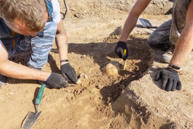 Arkeolojik kazılar. İki arkeolog insan kemikleri yere mezar üzerinde araştırma araçları ile. Kazıcı gerçek işlemidir. Açık havada, kopya alanı.