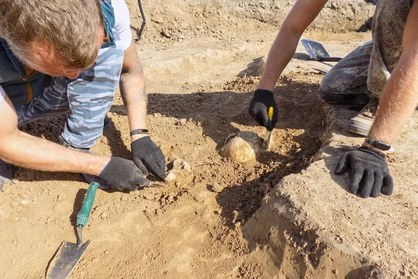 Arkeolojik kazılar. İki arkeolog insan kemikleri yere mezar üzerinde araştırma araçları ile. Kazıcı gerçek işlemidir. Açık havada, kopya alanı.