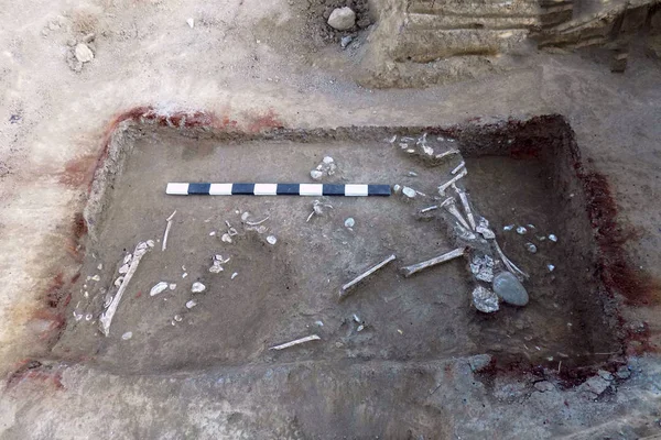 Escavações Arqueológicas Restos Humanos Ossos Esqueleto Crânios Túmulo Moído Verdadeiro — Fotografia de Stock