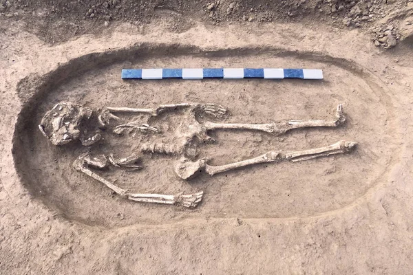 Fouilles Archéologiques Des Restes Humains Squelette Crânes Dans Tombe Sol — Photo