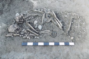 Arkeolojik kazılar. İnsan (iskelet kemikleri) ölçü tahta ile yere kalır. Barışlar mezar ancietn mücevher. Gerçek kazıcı işlemi. Oudoors, kopya alanı.