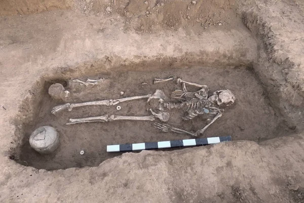 Excavaciones Arqueológicas Restos Humanos Huesos Esqueleto Cráneos Suelo Con Hallazgos —  Fotos de Stock